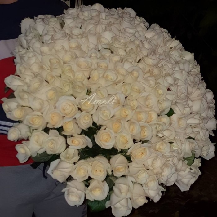 Букет из 151 белой розы «Вдохновение» — доставка цветов Балашихе