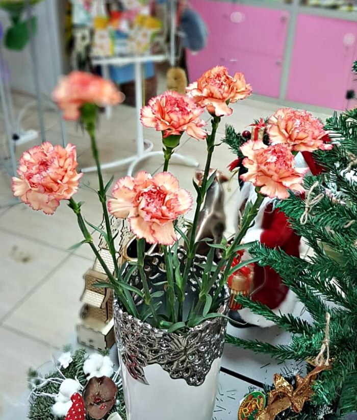 Гвоздика персиковая с розовой каймой (поштучно) — доставка цветов Балашихе