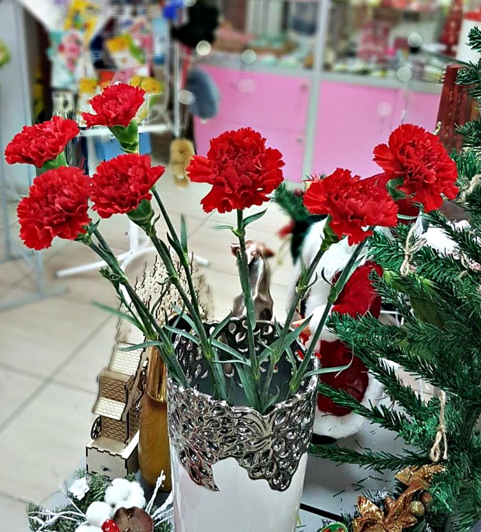 Гвоздика красная (поштучно) — доставка цветов Балашихе
