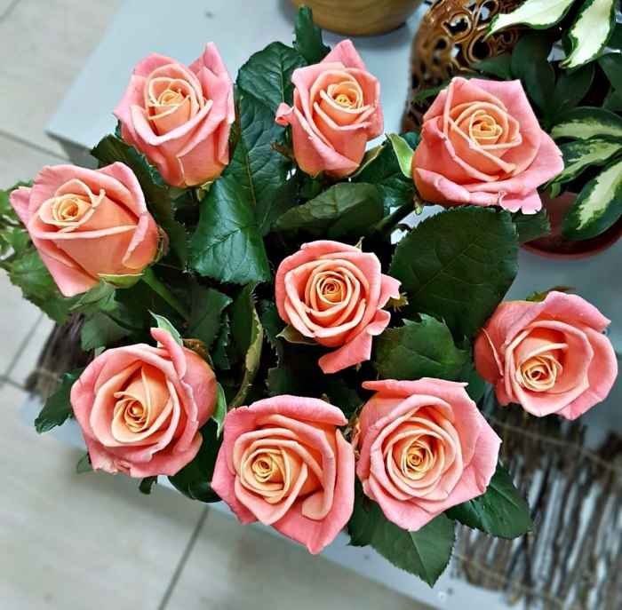 Роза Miss Piggy розовая, 70 см (поштучно) — доставка цветов Балашихе