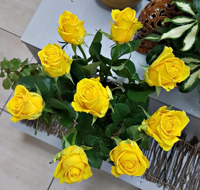Роза Penny Lane, 70 см (поштучно) — доставка цветов Балашихе